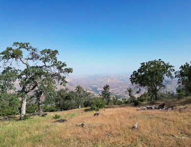 LocationProperty is located north of the CA-63 and CA-180 - photo 7