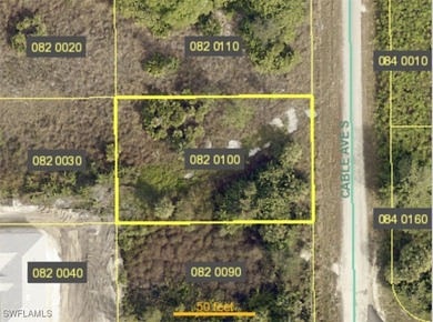 Lehigh Acres Area Lot Sale Pending in Lehigh Acres Florida