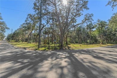 Homosassa River Lot For Sale in Homosassa Florida