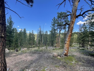 Lake Acreage For Sale in Red Feather Lakes, Colorado