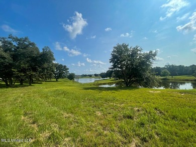 Lake front lots in a beautiful new Subdivision on Highway 63 - photo 31