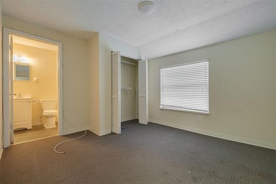 Amazing and rare opportunity in downtown Dunedin.   Located in - photo 33