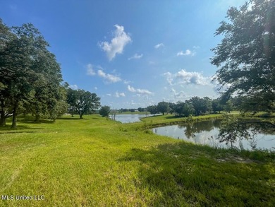 Lake front lots in a beautiful new Subdivision on Highway 63 - photo 33
