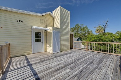 Amazing and rare opportunity in downtown Dunedin.   Located in - photo 38
