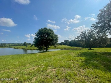 Lake front lots in a beautiful new Subdivision on Highway 63 - photo 47