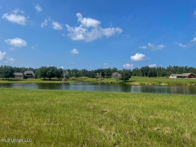 Lake front lots in a beautiful new Subdivision on Highway 63 - photo 49