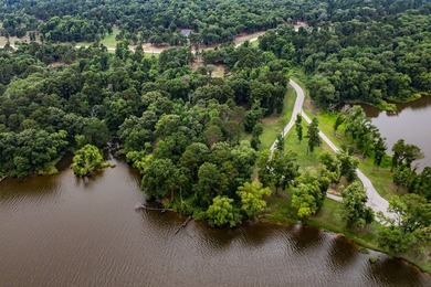 2 Acres with nearly 300 ft of shoreline with open water views in - photo 13