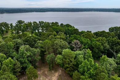 2 Acres with nearly 300 ft of shoreline with open water views in - photo 14