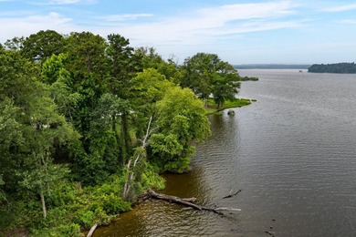2 Acres with nearly 300 ft of shoreline with open water views in - photo 15