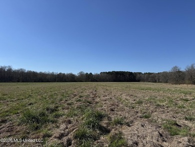Lake Acreage For Sale in Sontag, Mississippi