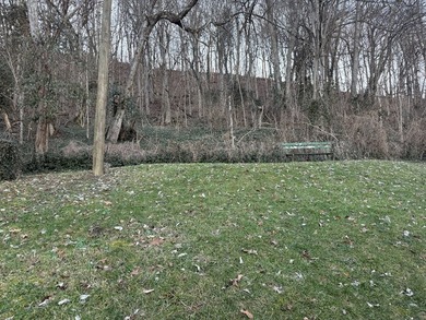 Perfect place for an Air B&B. This property has breath taking - photo 22