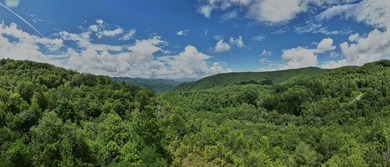 Fontana Lake Acreage For Sale in Bryson City North Carolina