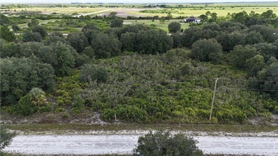 Lehigh Acres Area Lot For Sale in Lehigh Acres Florida