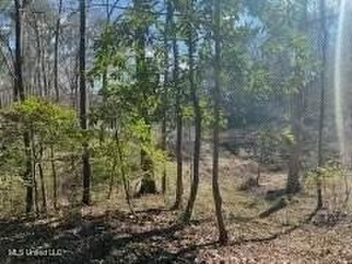 DISCOVER THE TRANQUILITY OF 3 BEAUTIFUL PRIVATE LAKEFRONT LOTS - photo 4