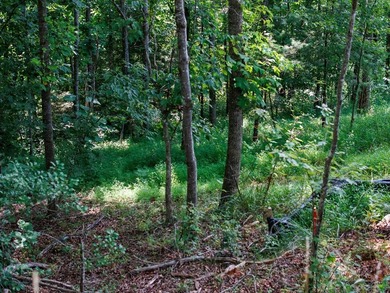 Lake Emory Lot For Sale in Franklin North Carolina