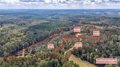 Incredible opportunity to own a little slice of heaven in Oconee - photo 1
