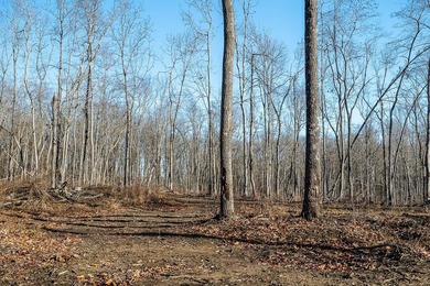 (private lake, pond, creek) Acreage For Sale in Crossville Tennessee