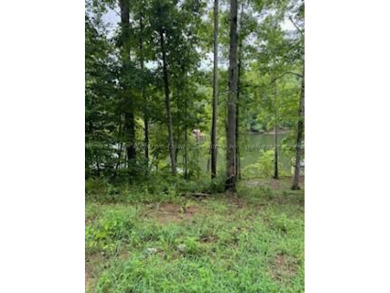 Don't miss out on this hidden gem on Smith Lake. This lot is - Lake Lot Sale Pending in Arley, Alabama