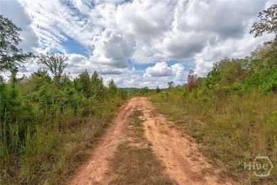 Incredible opportunity to own a little slice of heaven in Oconee - photo 4
