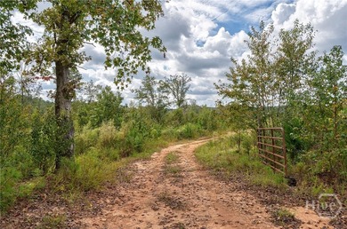 Incredible opportunity to own a little slice of heaven in Oconee - photo 5