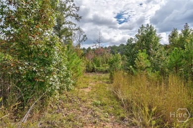 Incredible opportunity to own a little slice of heaven in Oconee - photo 10