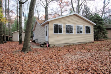 Chippewa Lake Home For Sale in Evart Michigan