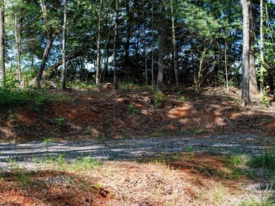 Lake Emory Lot For Sale in Franklin North Carolina