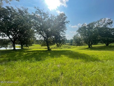 Lake front lots in a beautiful new Subdivision on Highway 63 - photo 17