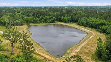 Set on 150.55 acres just outside Rusk, Texas, this luxury - photo 20