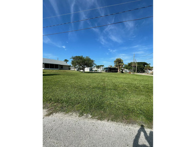 This is one of the big lot in Hutchinson Island and not many - photo 3