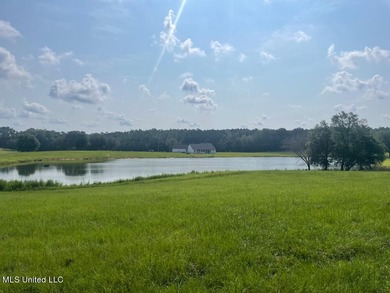 Lake front lots in a beautiful new Subdivision on Highway 63 - photo 27
