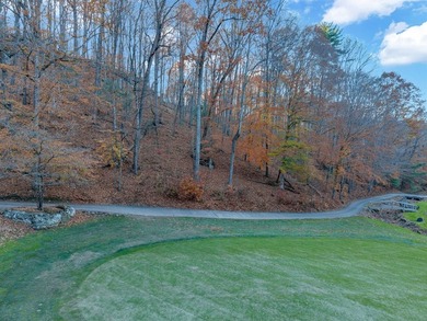 This 2.30-acre double-parcel lot in Fairfield Glade offers the - photo 2