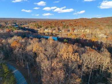 This 2.30-acre double-parcel lot in Fairfield Glade offers the - photo 3
