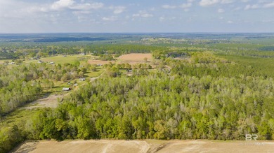 Welcome to your private country retreat! This freshly painted - photo 34