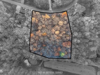 This 2.30-acre double-parcel lot in Fairfield Glade offers the - photo 4