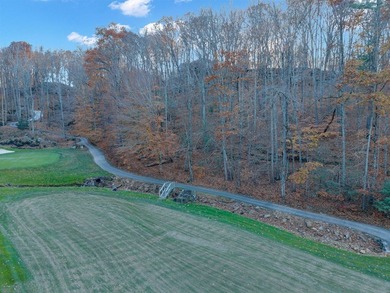 This 2.30-acre double-parcel lot in Fairfield Glade offers the - photo 6