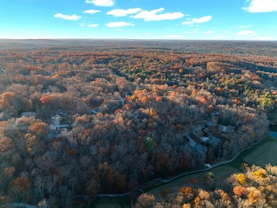 This 2.30-acre double-parcel lot in Fairfield Glade offers the - photo 7