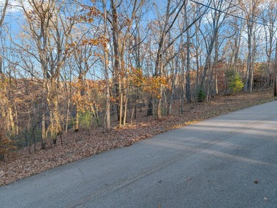 This 2.30-acre double-parcel lot in Fairfield Glade offers the - photo 10