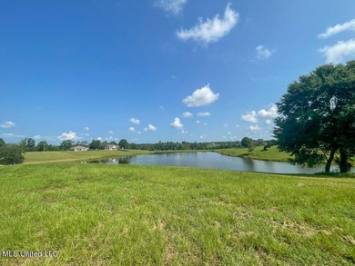 Lake front lots in a beautiful new Subdivision on Highway 63 - photo 45