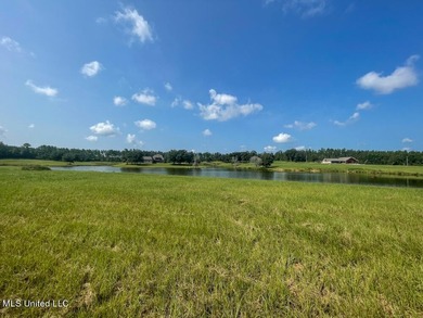 Lake front lots in a beautiful new Subdivision on Highway 63 - photo 48