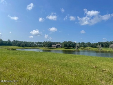 Lake front lots in a beautiful new Subdivision on Highway 63 - photo 50