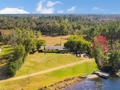 (private lake, pond, coastal) Home For Sale in Groveland Florida