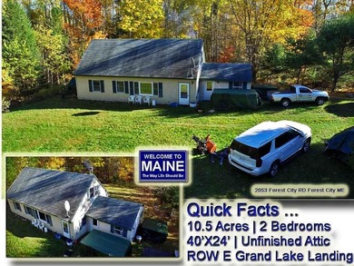 Spednic Lake Home For Sale in Forest City Twp Maine