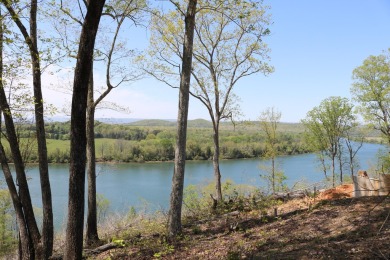 Tennessee River - Rhea County Acreage For Sale in Decatur Tennessee