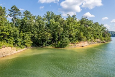 Lewis Smith Lake Lot For Sale in Cullman Alabama
