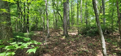 Whispering Winds Lake Acreage For Sale in Jamestown Tennessee
