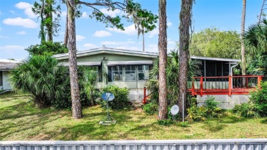 Lake Home For Sale in Eustis, Florida