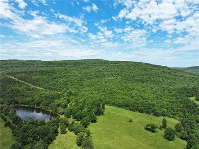 Rarely does a property of this size, beauty, diversity or - photo 14