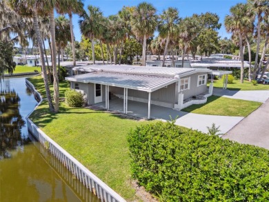 Lake Home For Sale in Eustis, Florida