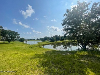 Lake front lots in a beautiful new Subdivision on Highway 63 - photo 33